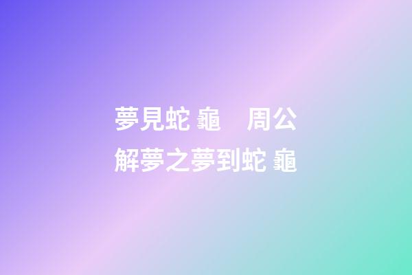 夢見蛇 龜　周公解夢之夢到蛇 龜